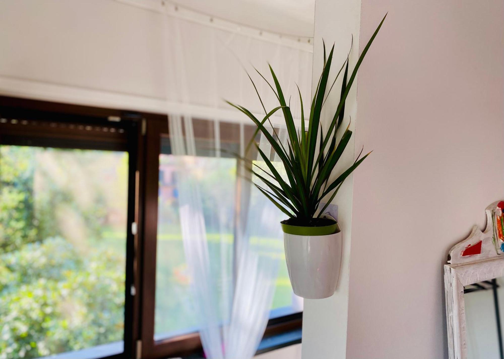The Luxory Cat Bed and Breakfast Milano Exteriör bild