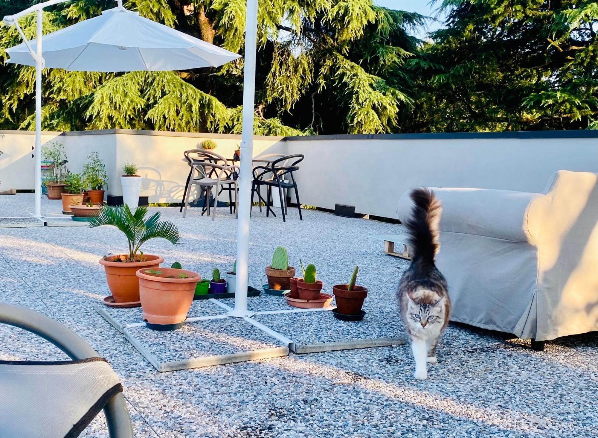 The Luxory Cat Bed and Breakfast Milano Exteriör bild