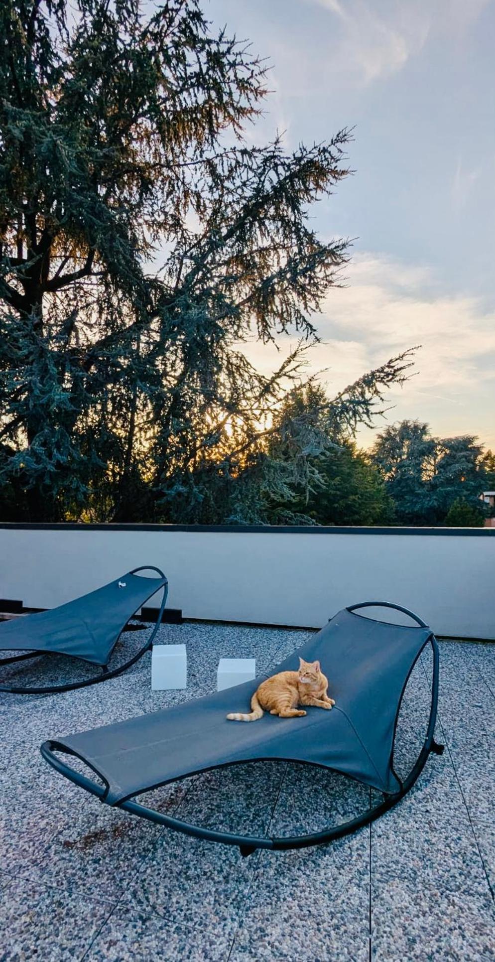 The Luxory Cat Bed and Breakfast Milano Exteriör bild
