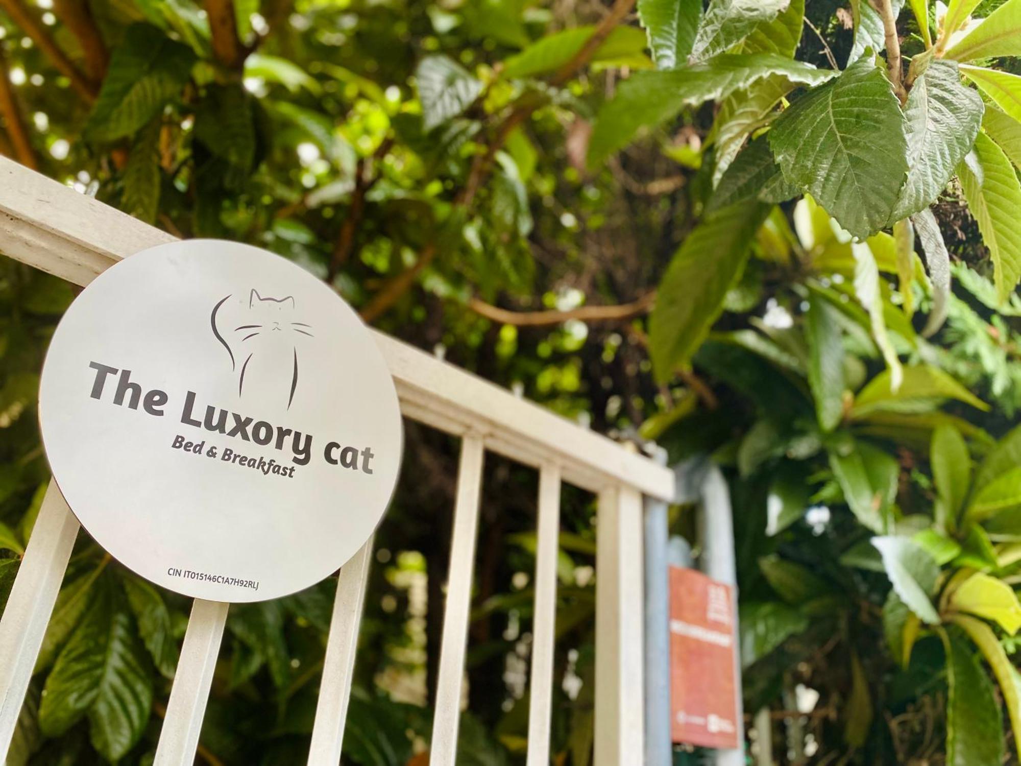 The Luxory Cat Bed and Breakfast Milano Exteriör bild