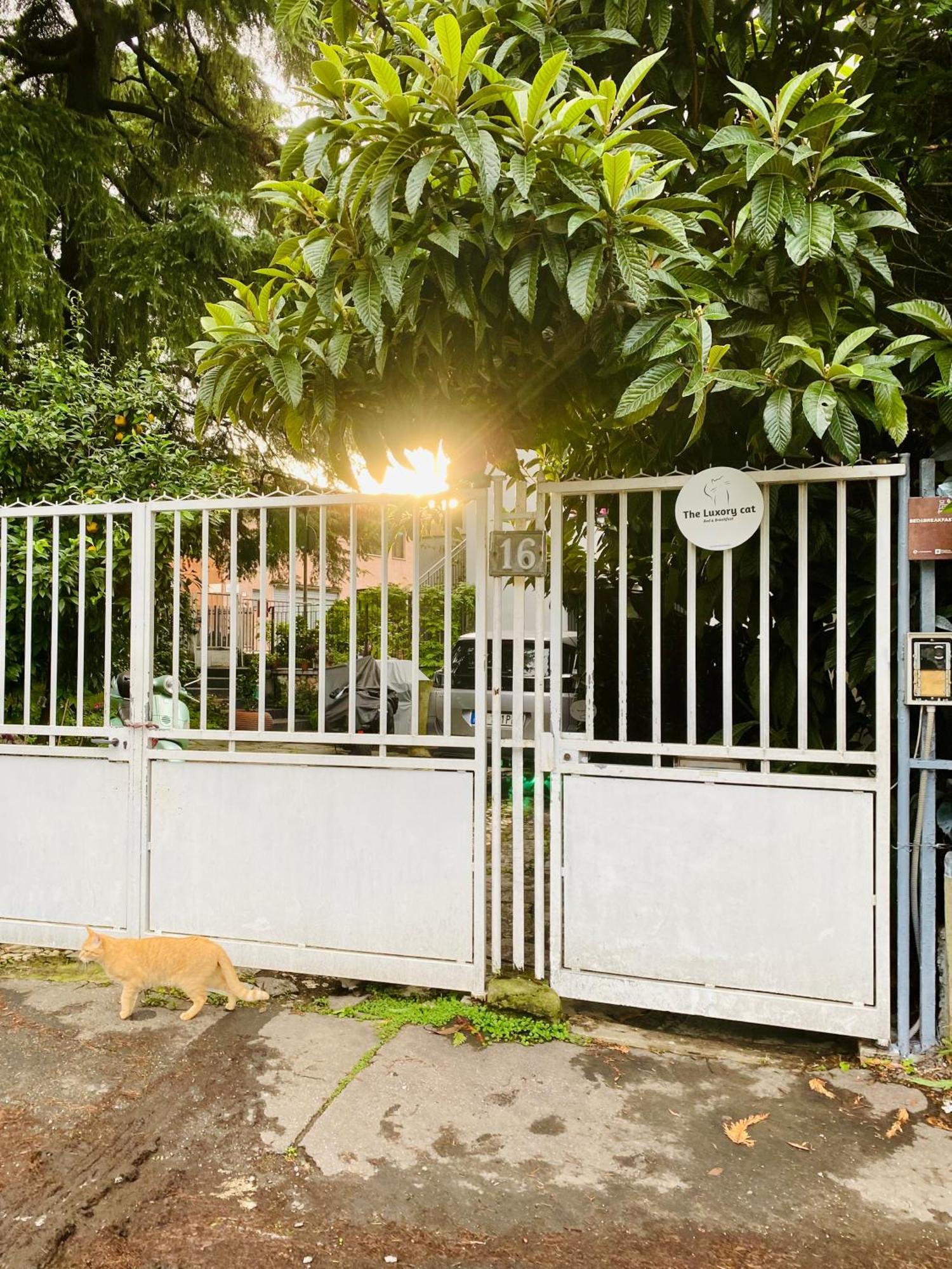 The Luxory Cat Bed and Breakfast Milano Exteriör bild