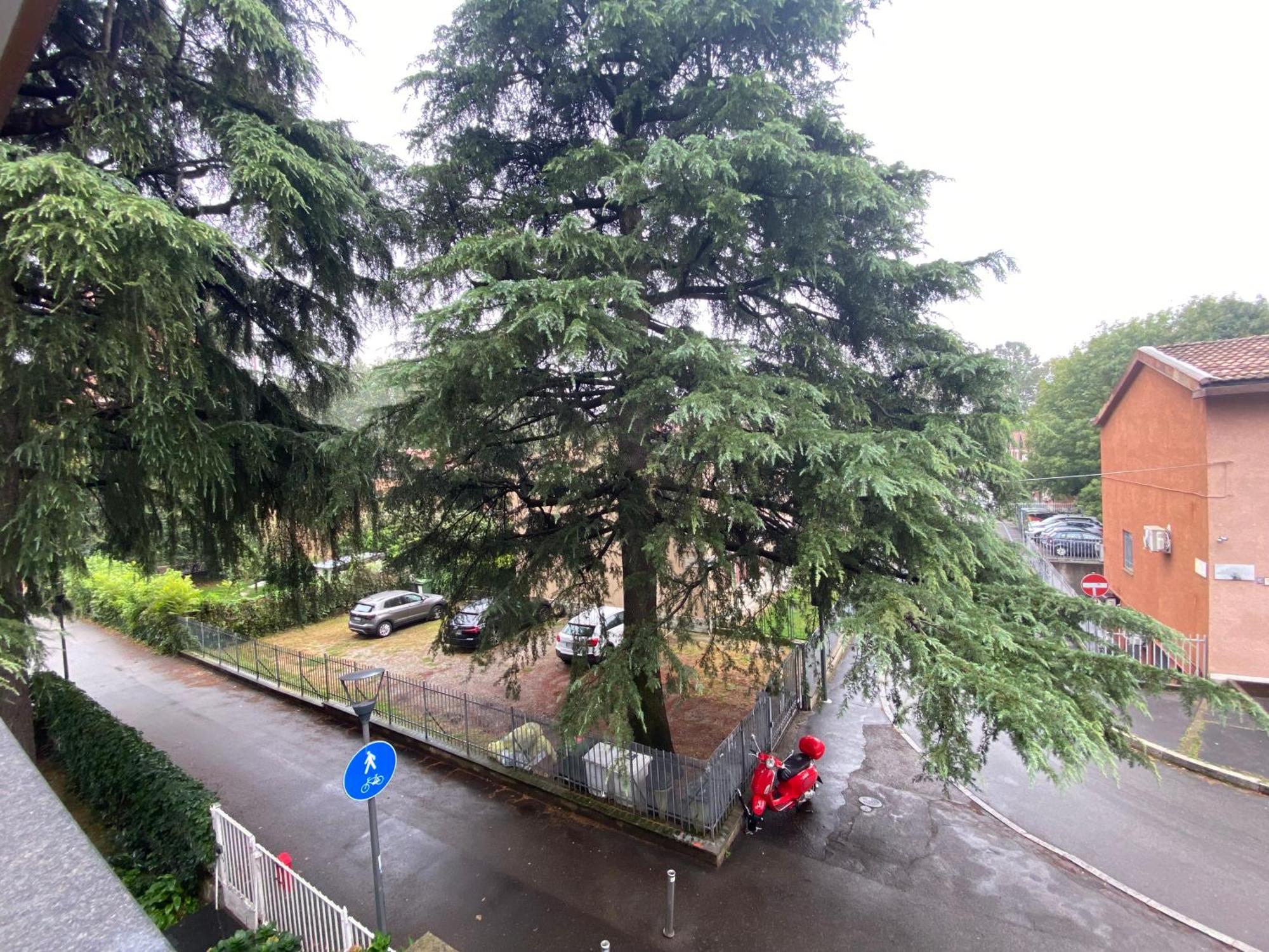 The Luxory Cat Bed and Breakfast Milano Exteriör bild